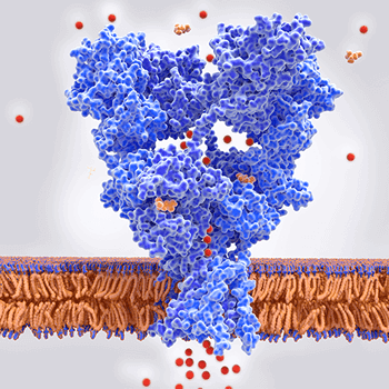 GPCR 藥物研發全方位解決方案