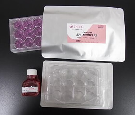 LabCyte EPI-MODEL12 內容物