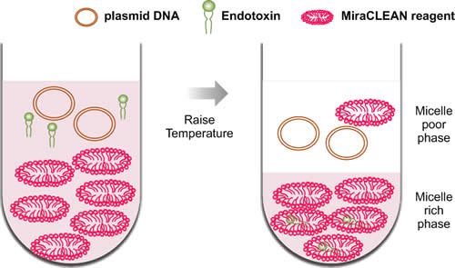 MiraCLEAN® Endotoxin Removal Kit 作用原理 - Mirus Bio 台灣獨家代理伯森生技