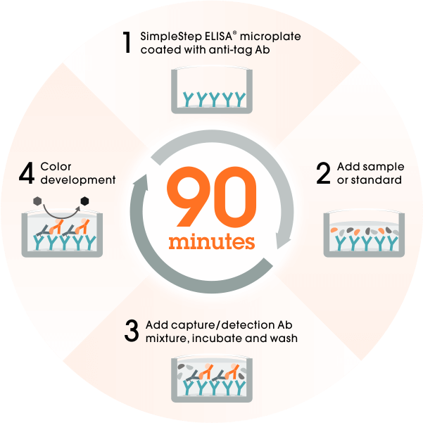 abcam SimpleStep ELISA® 試劑盒 (abcam SimpleStep ELISA® Kits)