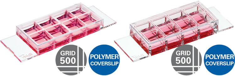 µ-Slide 8 Well Grid-500 and µ-Slide 8 Well high Grid-500 - ibidi 台灣獨家代理伯森生技