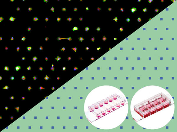 µ-Slides With Single-Cell µ-Pattern