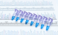 Oligo 合成服務 (Custom Oligo Synthesis)