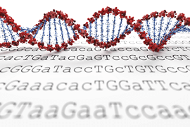 基因合成服務 (Gene Synthesis Service)