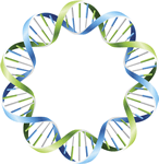 載體清單 (Vectors for Gene Synthesis Service)