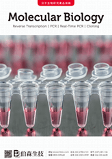 分子生物研究試劑產品目錄