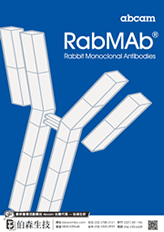 RabMAb® 兔單株抗體產品目錄 | Abcam 台灣代理伯森生技