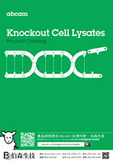 基因剔除細胞溶解物產品目錄