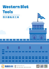 Wesern Blot 西方墨點實驗工具 & WB實驗檢查清單