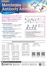 Membrane Antibody Arrays