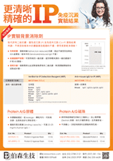 更清晰精確的 IP 免疫沉澱實驗結果