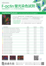 F-actin 螢光染色實驗工具