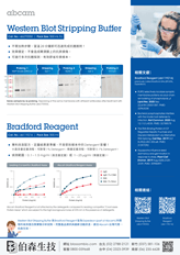 abcam 抗體脫附劑與 Bradford 蛋白質定量試劑