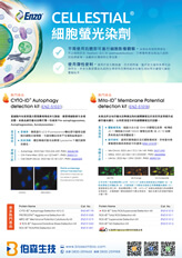 Enzo Life Sciences CELLESTIAL® 細胞螢光染劑