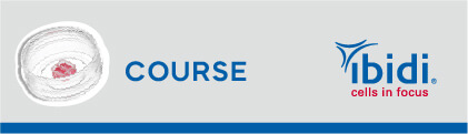 敬邀參加 ibidi 線上課程 | Wound Healing and Migration Assays
