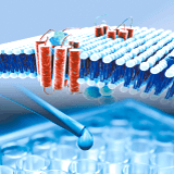 藥物開發與篩選 (Drug Discovery & Screening)