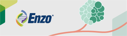  AMPIVIEW® RNA Probes：解析腫瘤微環境的空間異質性