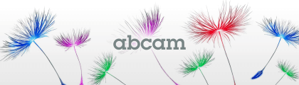 Abcam Lightning-Link® 抗體標定試劑、濃縮／純化產品 8 折特惠 | Abcam 台灣代理伯森生技