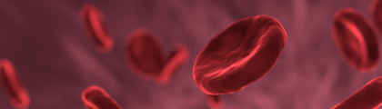血管新生實驗工具特輯 ★ Angiogenesis culture slide、HUVEC morphogenesis assay kit、Angiogenesis inhibitors、Tube formation 雲端影像分析 - ibidi 台灣獨家代理伯森生技