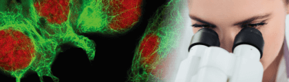 F-actin 螢光染色特輯✨完整收錄固定細胞染色與活細胞影像攝影實驗工具