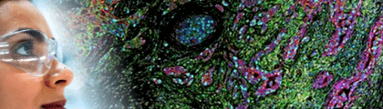 IHC 實驗結果總是忽好忽壞？Abcam IHC 實驗檢查清單幫您把關