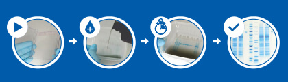 [歡迎索取試用品] Abcam InstantBlue® 高效蛋白質染劑 - 15 分鐘迅速完成 PAGE 膠片染色