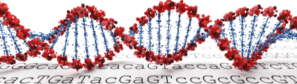 基因合成服務 | 伯森生技客製化服務