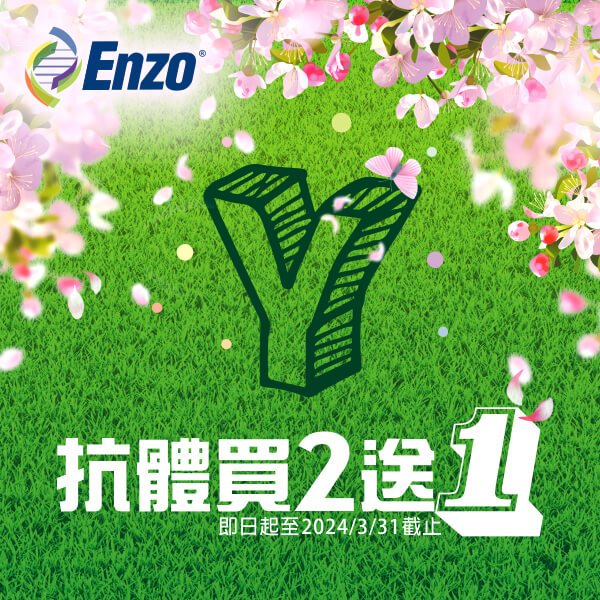 Enzo 抗體限時優惠 🛍️ 即日起 Enzo Life Sciences 抗體全面買 2 送 1