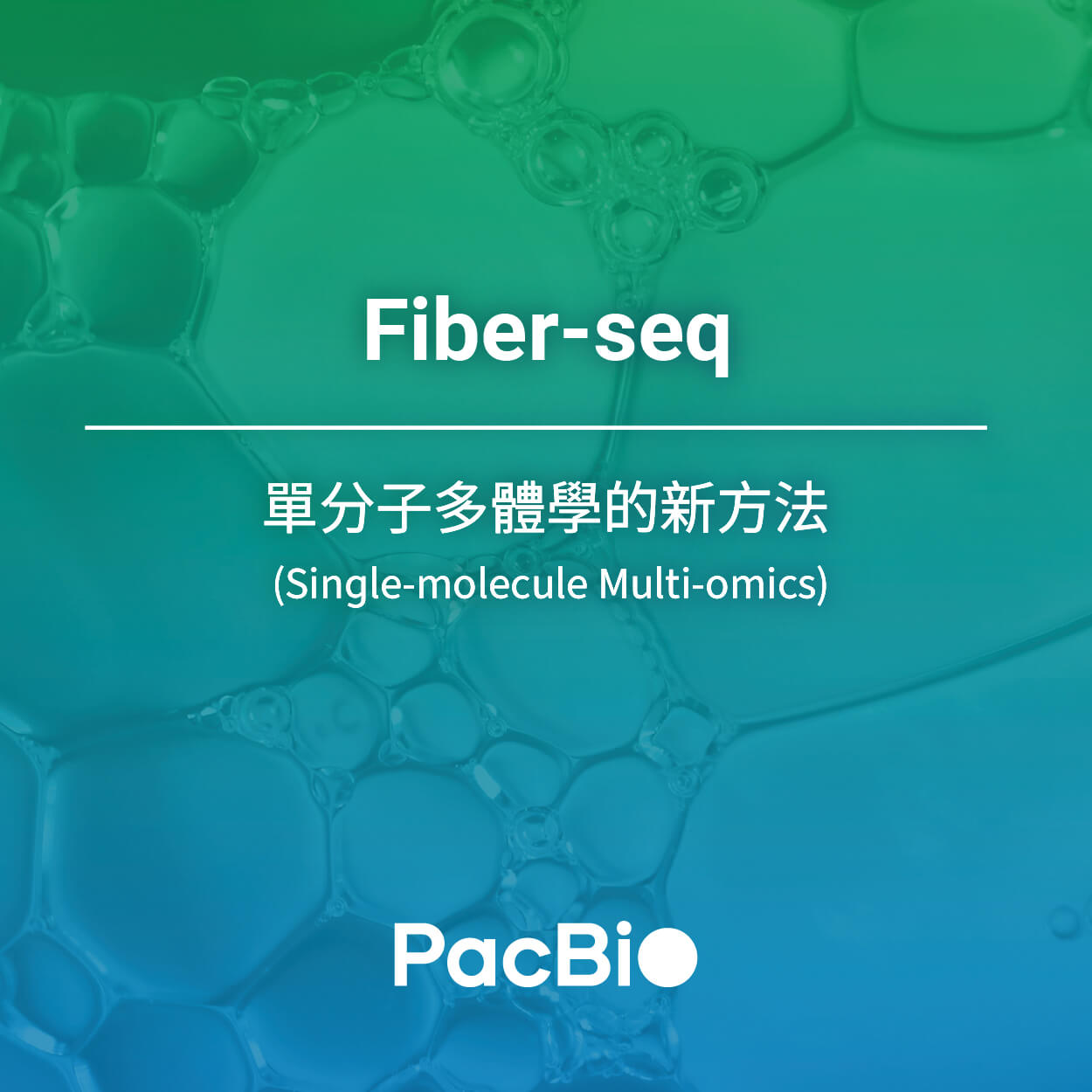 Fiber-seq：單分子多體學 (Single-molecule Multi-omics) 的新方法