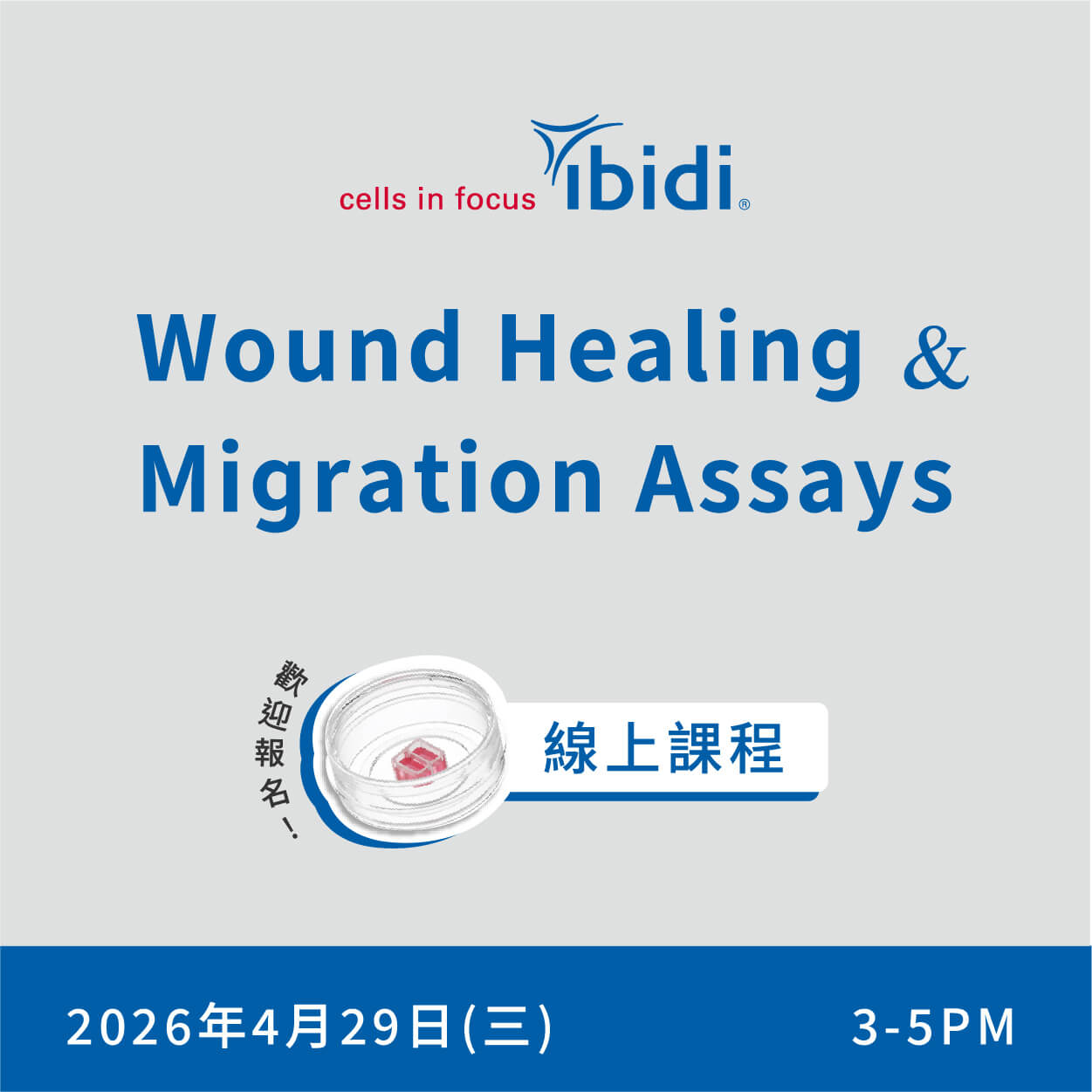 敬邀參加 ibidi 線上課程 | Wound Healing and Migration Assays