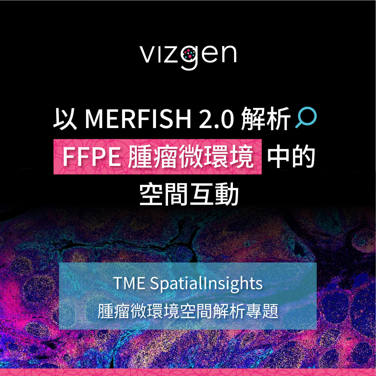 以 MERFISH 2.0 解析 FFPE 腫瘤微環境中的空間互動