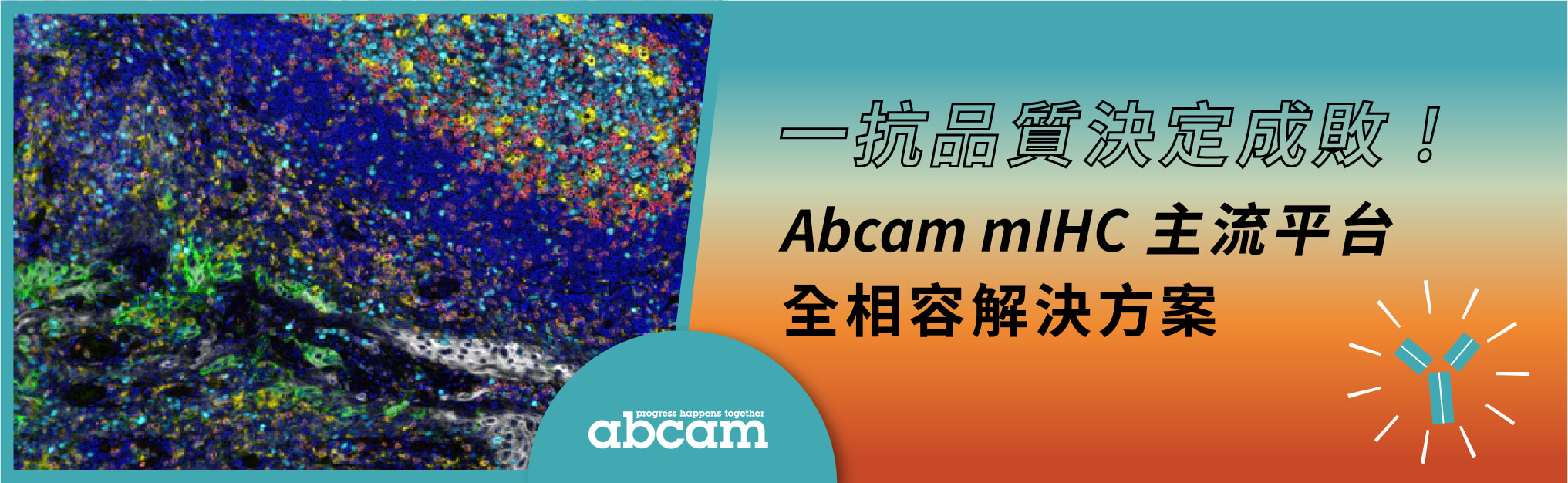 【TME 專題】一抗品質決定成敗！Abcam mIHC 主流平台全相容解決方案 | Abcam
