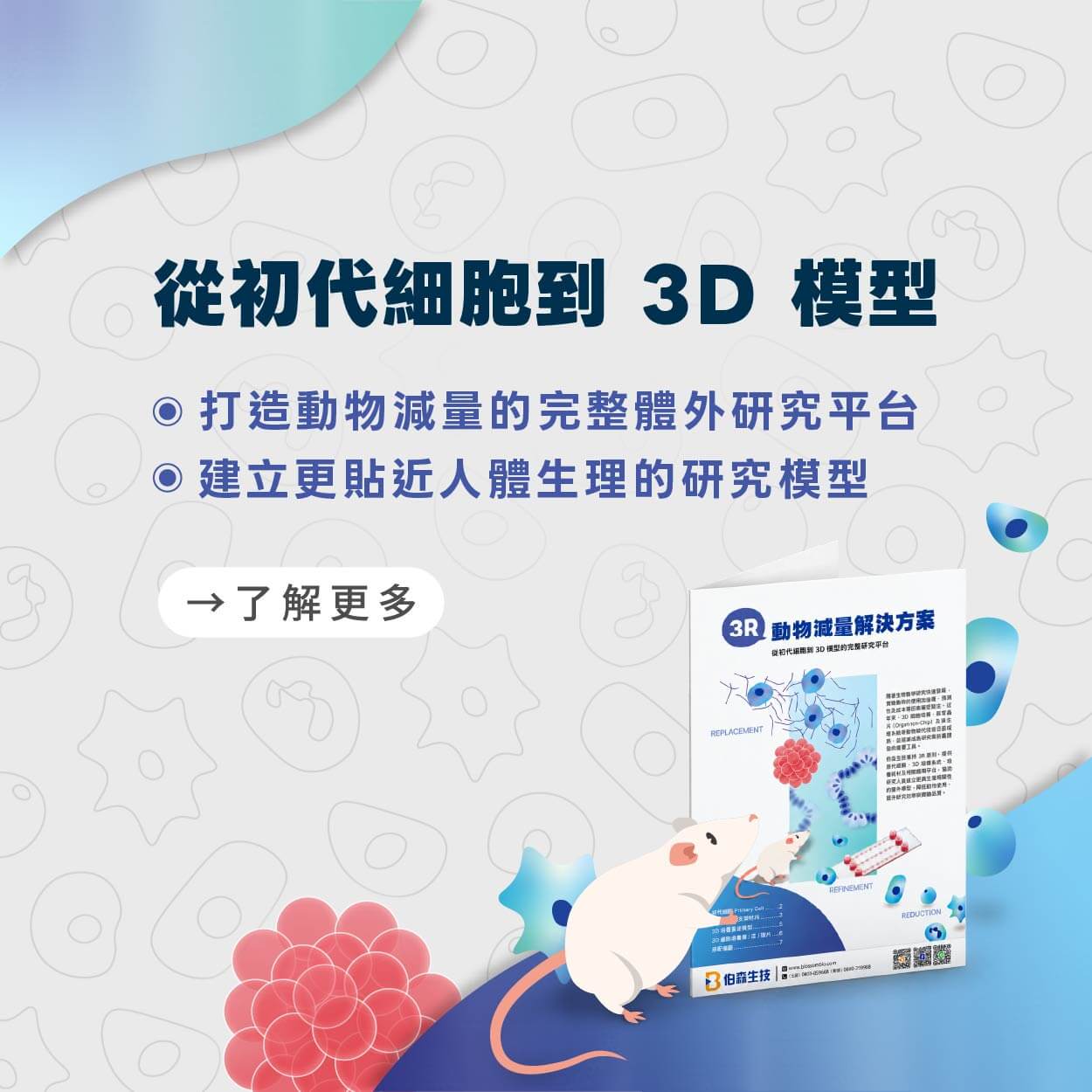 從初代細胞到 3D 模型｜打造動物減量的完整體外研究平台