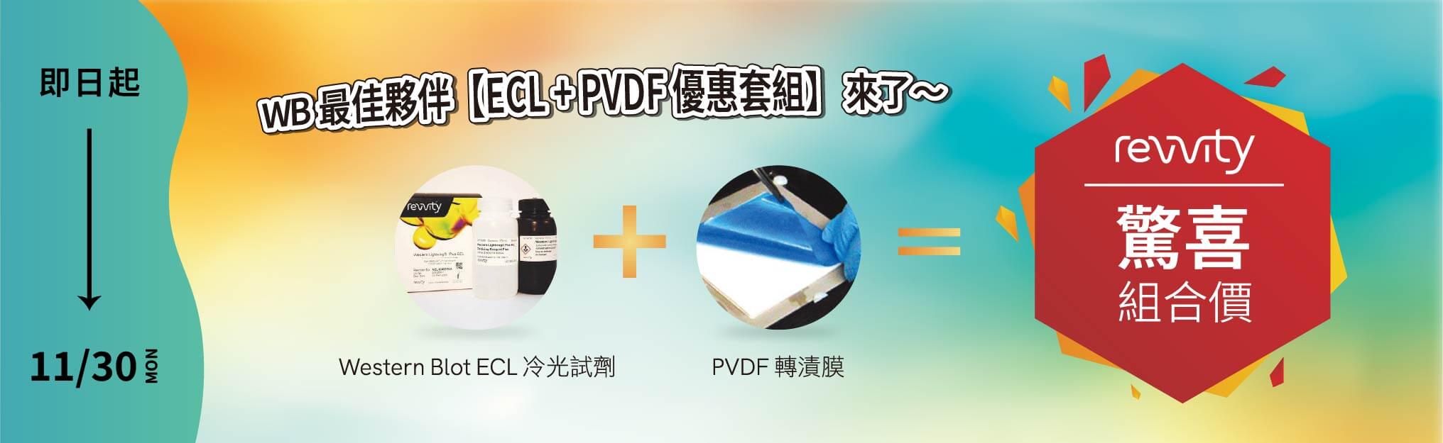 Western Blot 最佳夥伴 【ECL + PVDF 優惠套組】超值登場｜Revvity