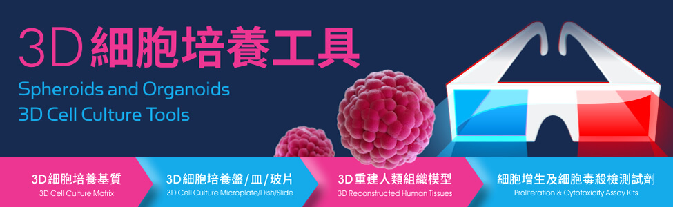 3D 細胞培養工具 (3D Cell Culture Tools for Spheroids and Organoids) - 伯森生技