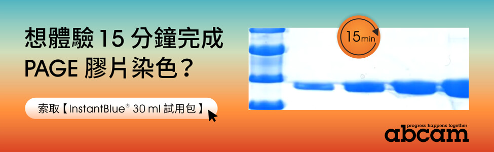 [歡迎索取試用品] Abcam InstantBlue® 高效蛋白質染劑 - 15 分鐘迅速完成 PAGE 膠片染色