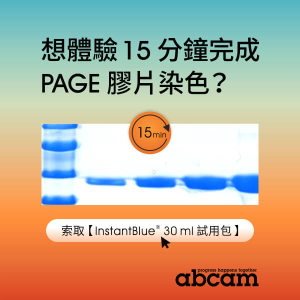 [歡迎索取試用品] Abcam InstantBlue® 高效蛋白質染劑 - 15 分鐘迅速完成 PAGE 膠片染色
