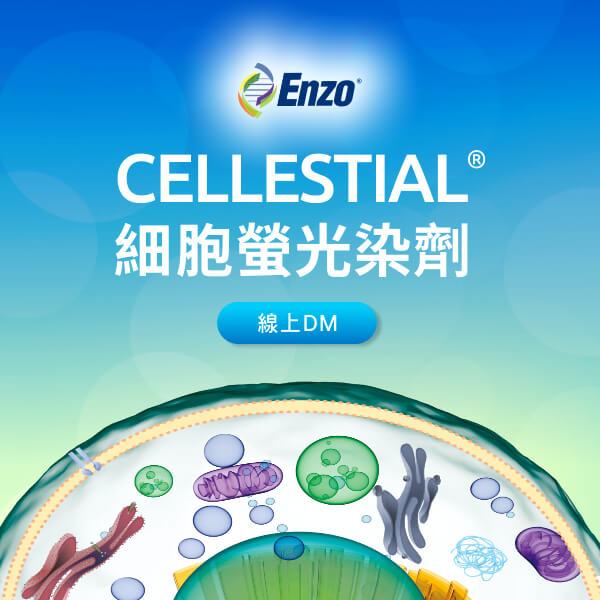 Enzo Life Sciences CELLESTIAL® 細胞螢光染劑
