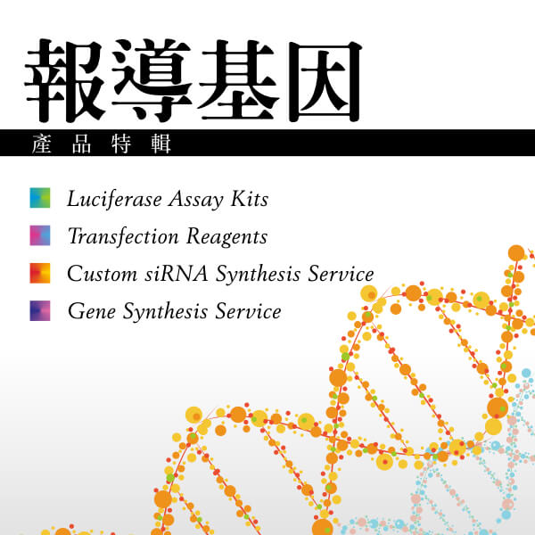 報導基因產品特輯