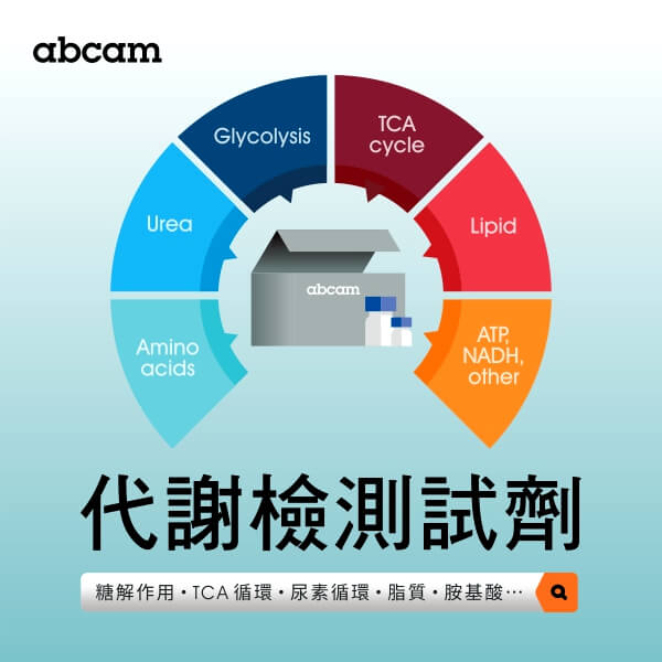 Abcam 代謝檢測產品特輯