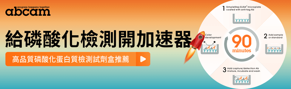 給磷酸化檢測開加速器 🚀 高品質磷酸化蛋白質檢測試劑盒推薦