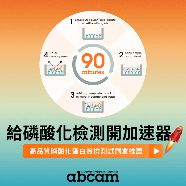 給磷酸化檢測開加速器 🚀 高品質磷酸化蛋白質檢測試劑盒推薦